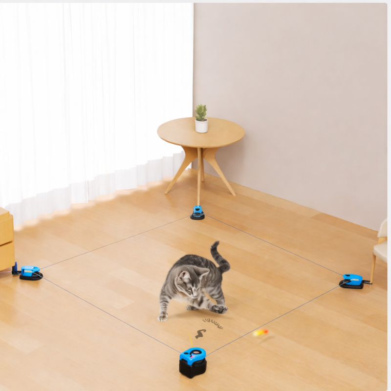 Interactive Cat Chase Toy | Smart Motion Exercise System
